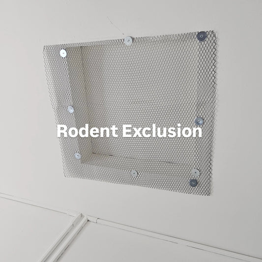 Rodent Control & Exclusion